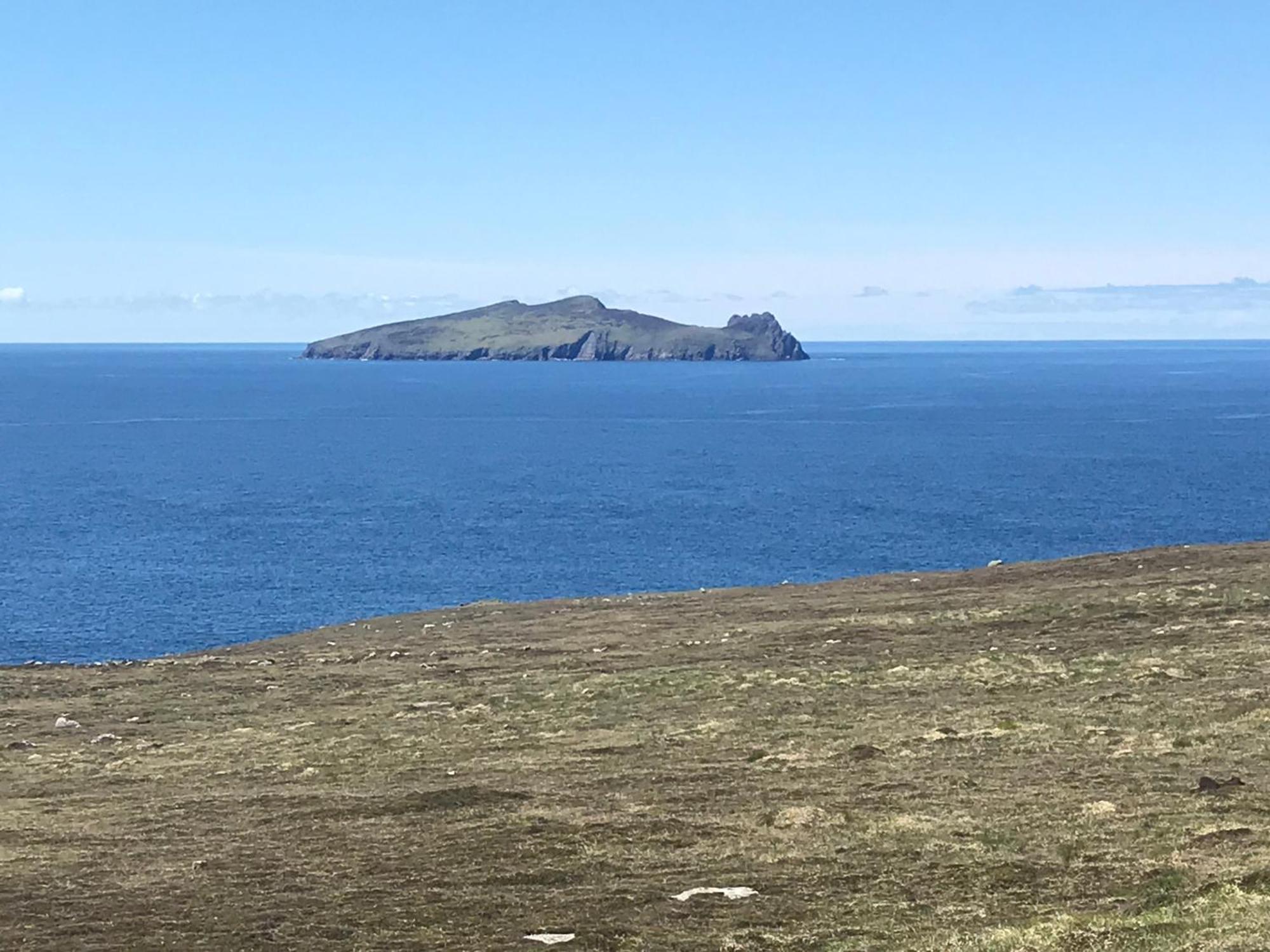 Murphy'S Guesthouse Dingle Zewnętrze zdjęcie